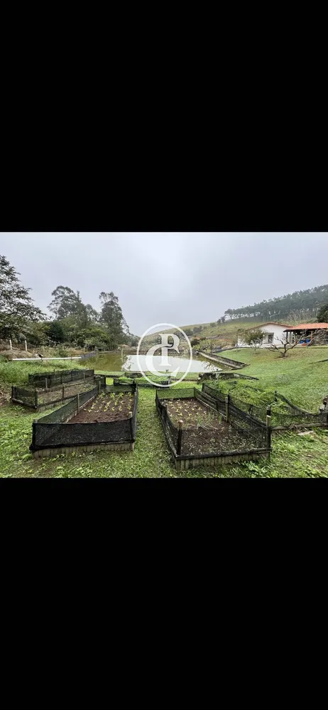 Chácara, 4 quartos, 3 hectares - Foto 10