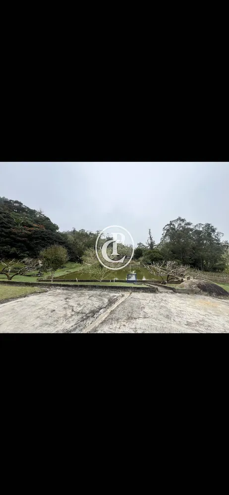 Chácara, 4 quartos, 3 hectares - Foto 7