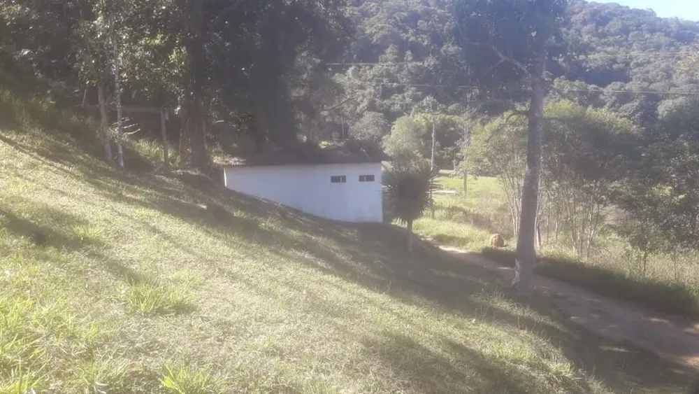 Chácara, 10 quartos, 100 m² - Foto 9