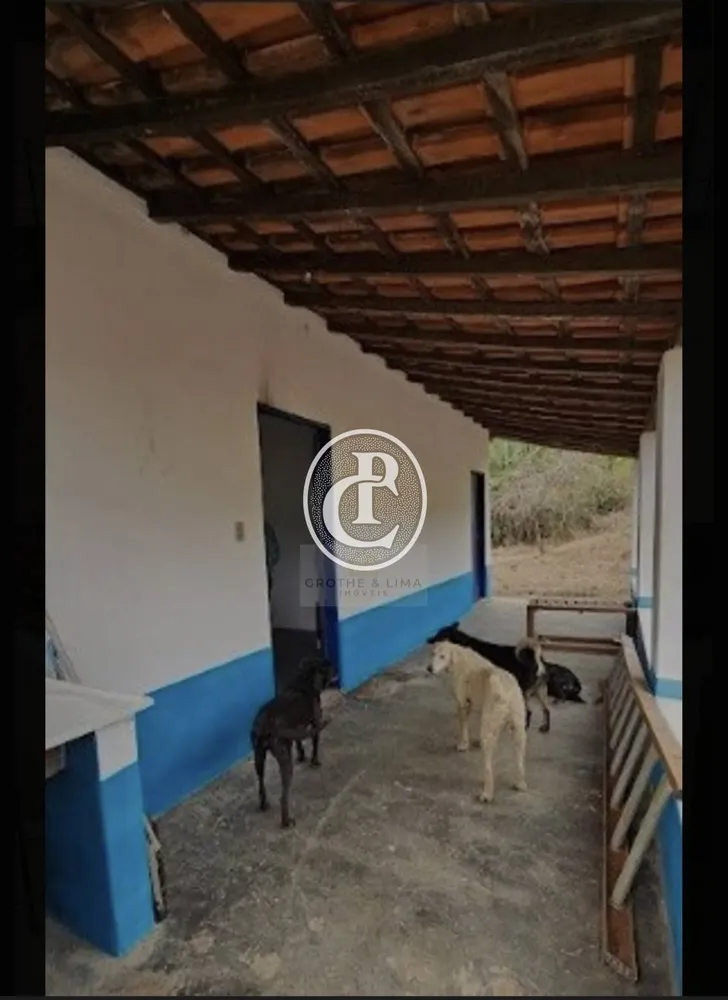 Sítio, 5 quartos, 53 hectares - Foto 3