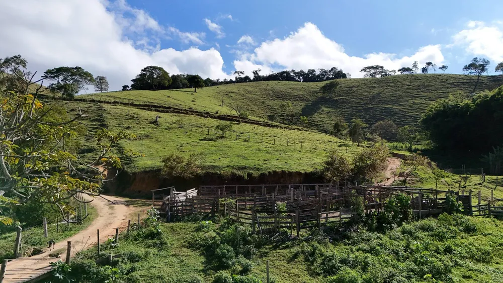 Terreno, 1 hectares - Foto 8