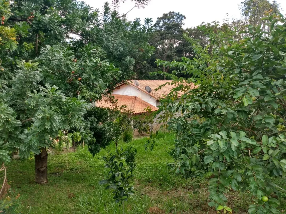 Chácara, 3 quartos, 200 m² - Foto 1