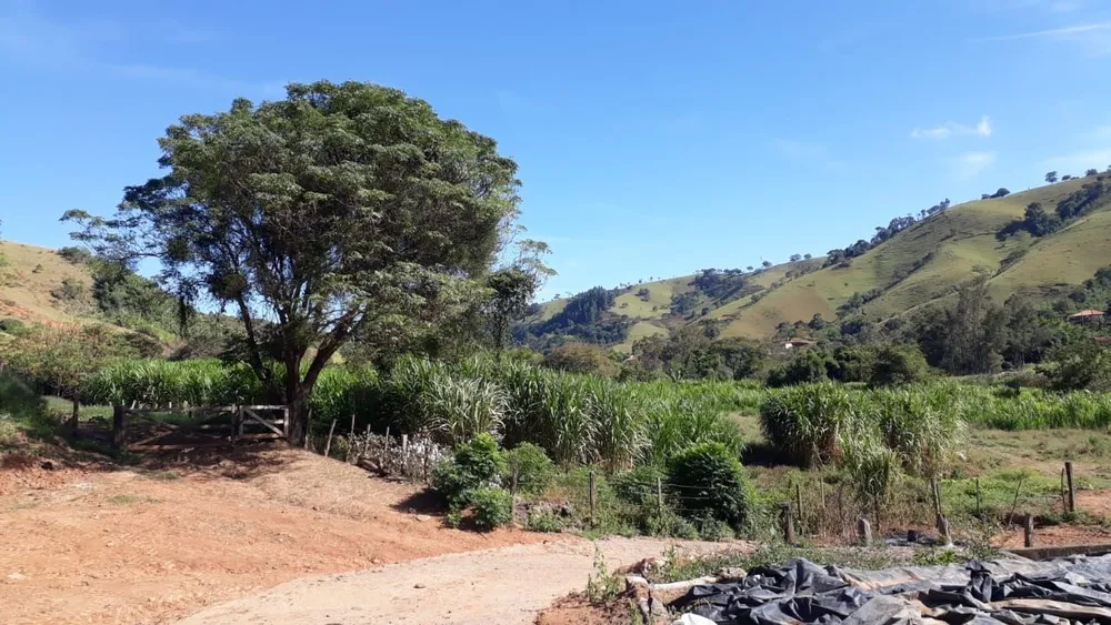 Fazenda, 87 hectares - Foto 7