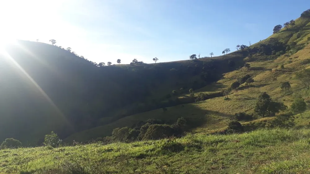 Fazenda, 87 hectares - Foto 2