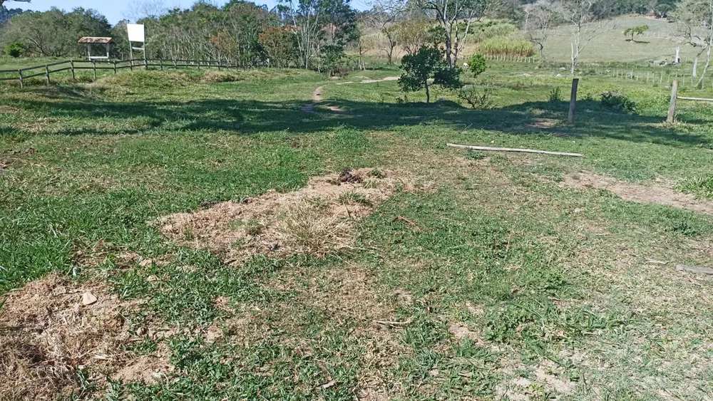 Chácara, 2 quartos, 5 hectares - Foto 2
