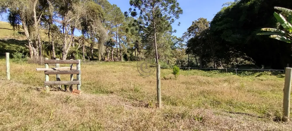 Sítio, 3 quartos, 23 m² - Foto 4