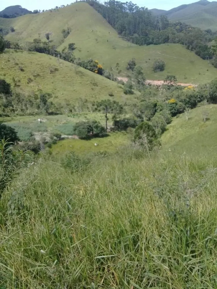 Sítio, 4 quartos, 34 hectares - Foto 11