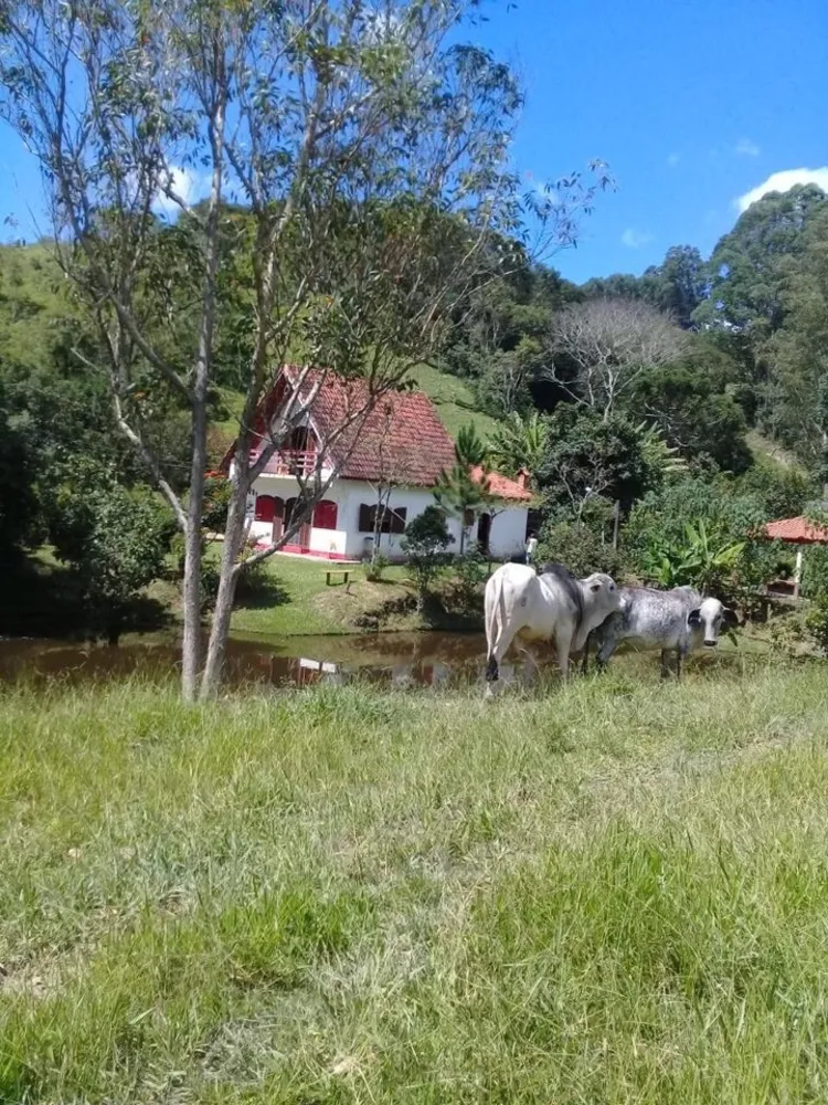 Sítio, 4 quartos, 34 hectares - Foto 14