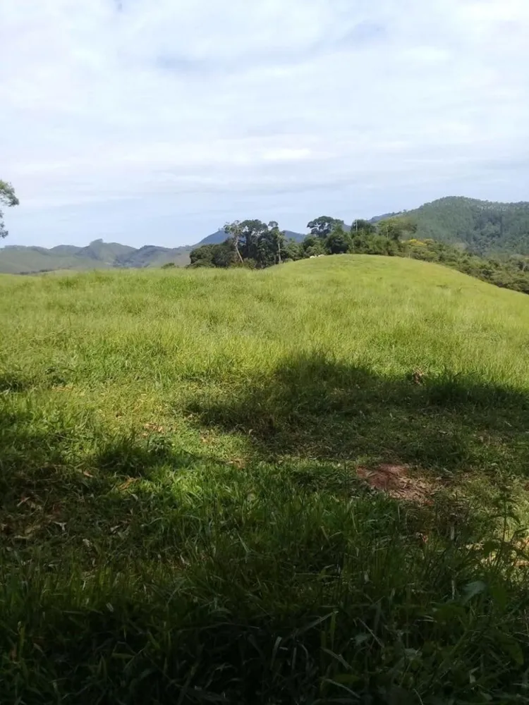 Sítio, 4 quartos, 34 hectares - Foto 6