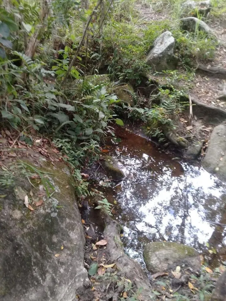 Sítio, 4 quartos, 34 hectares - Foto 12