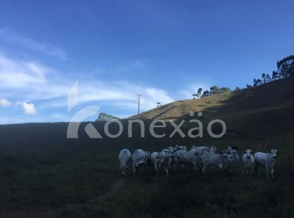 Fazenda, 90 m² - Foto 4