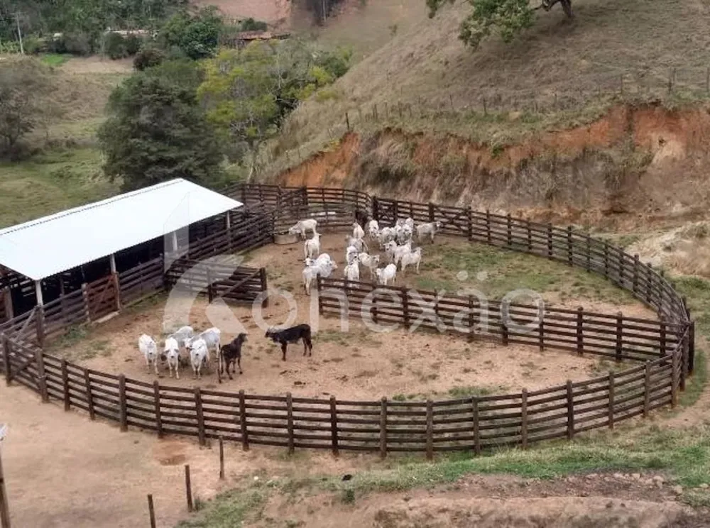 Fazenda, 90 m² - Foto 5