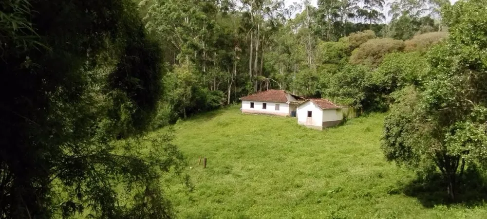Sítio, 2 quartos, 100 m² - Foto 2