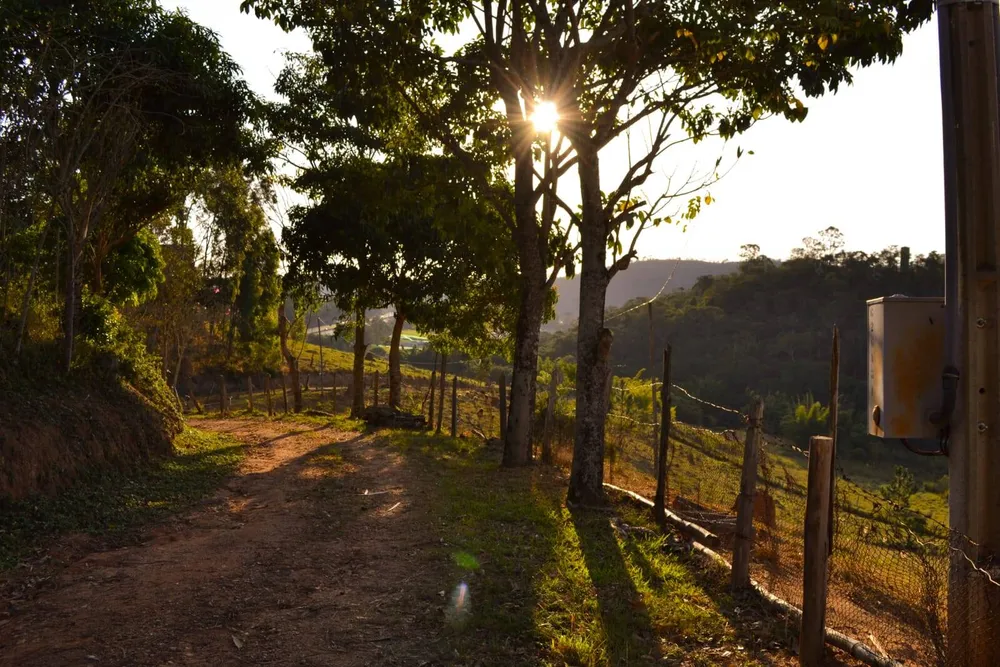 Sítio, 3 quartos, 8 hectares - Foto 7
