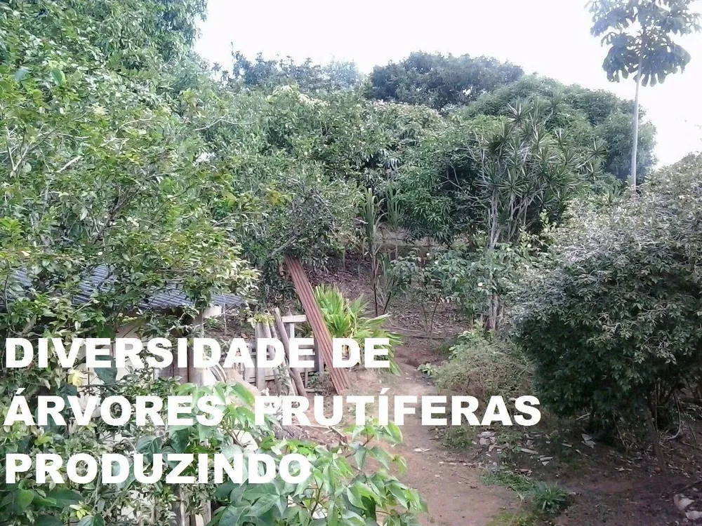 Sítio, 3 quartos, 8 hectares - Foto 8