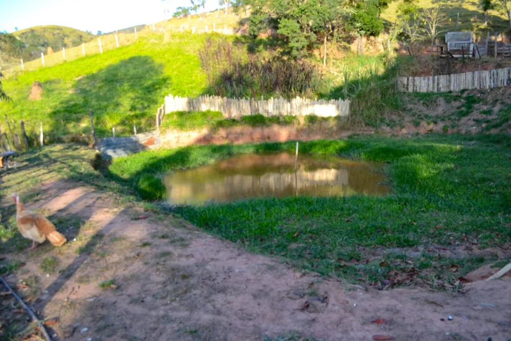 Sítio, 3 quartos, 8 hectares - Foto 1