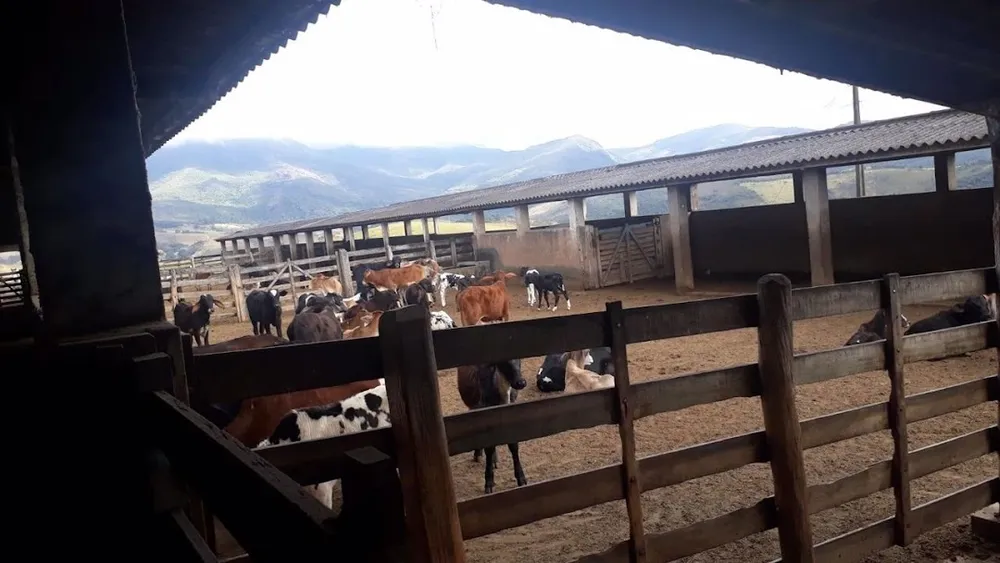 Fazenda, 505 hectares - Foto 4