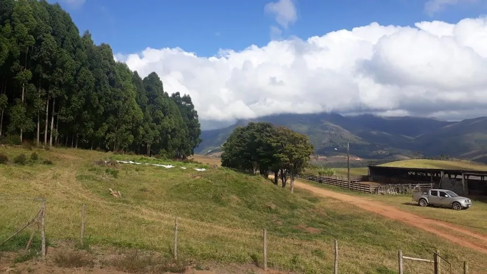 Fazenda, 505 hectares - Foto 2