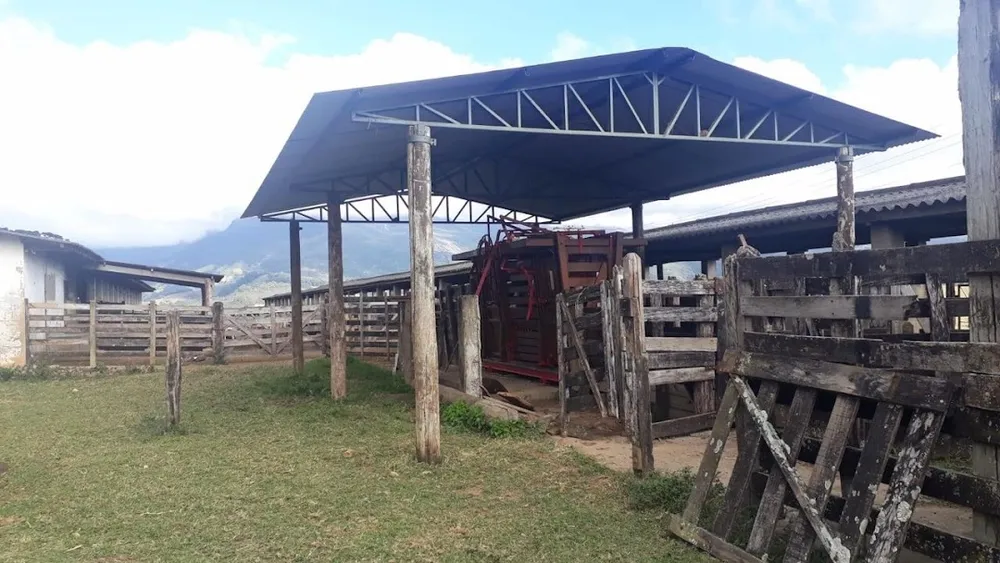 Fazenda, 505 hectares - Foto 6