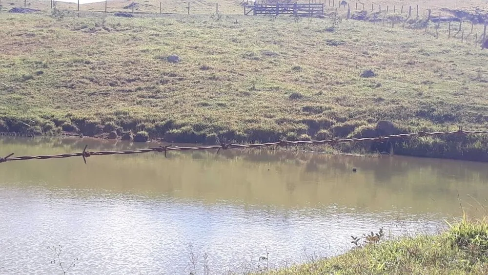 Fazenda, 505 hectares - Foto 12
