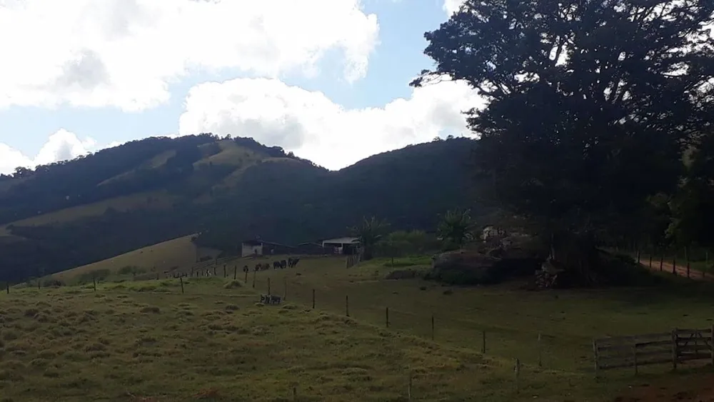 Fazenda, 505 hectares - Foto 5