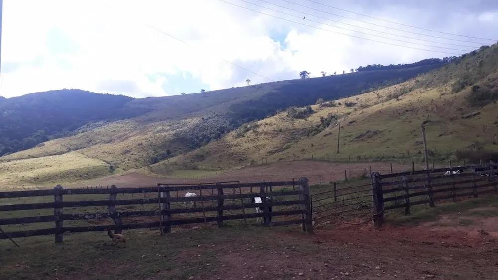 Fazenda, 505 hectares - Foto 8