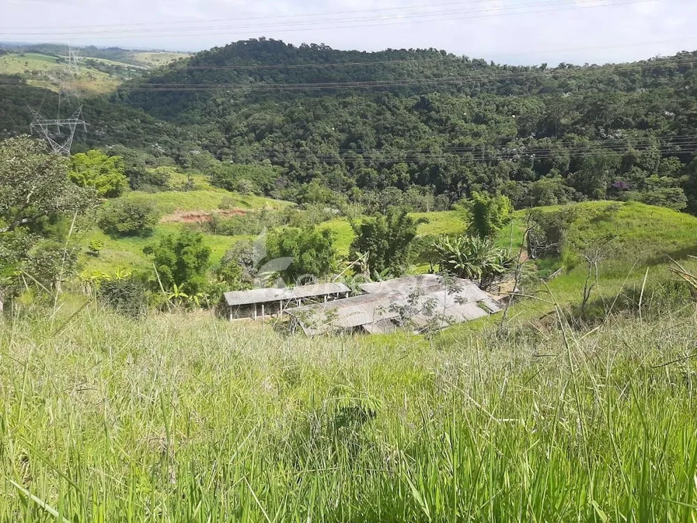 Sítio, 3 quartos, 300 m² - Foto 10