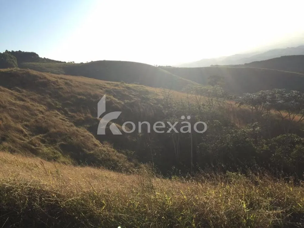 Fazenda, 154 hectares - Foto 14