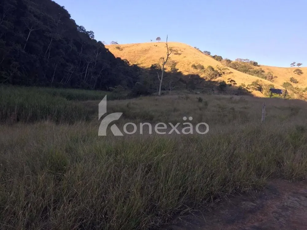 Fazenda, 154 hectares - Foto 13