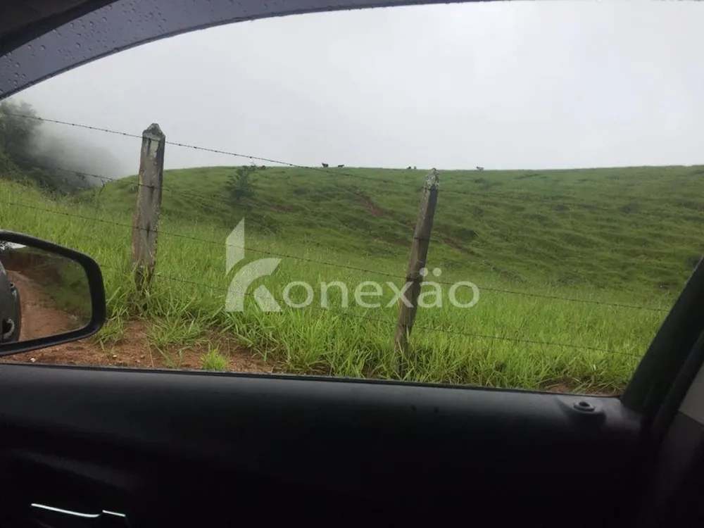 Fazenda, 154 hectares - Foto 6