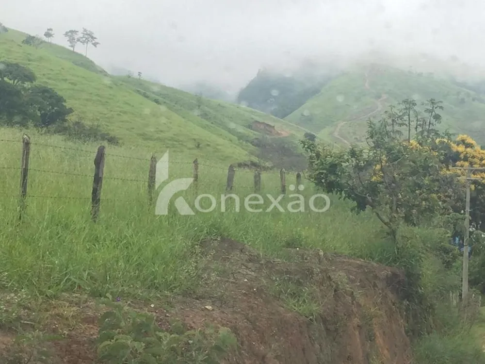 Fazenda, 154 hectares - Foto 7