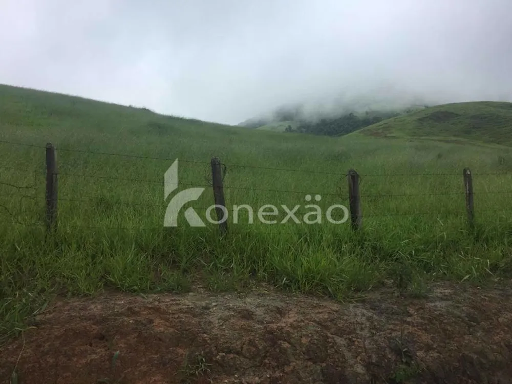Fazenda, 154 hectares - Foto 9