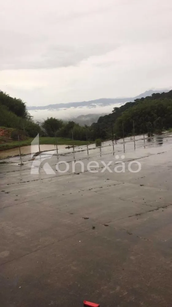Fazenda, 154 hectares - Foto 12