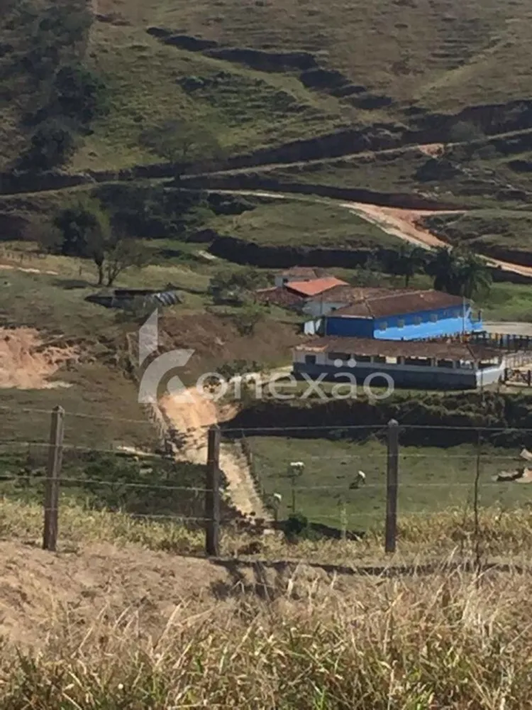 Fazenda, 154 hectares - Foto 8