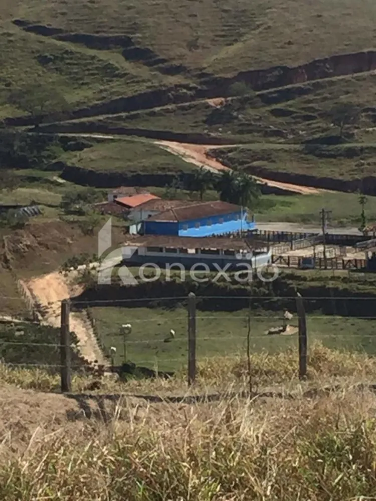 Fazenda, 154 hectares - Foto 3