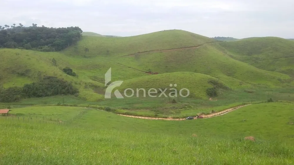 Fazenda, 154 hectares - Foto 4