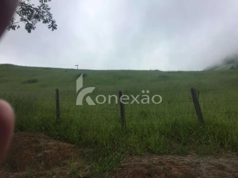Fazenda, 154 hectares - Foto 2