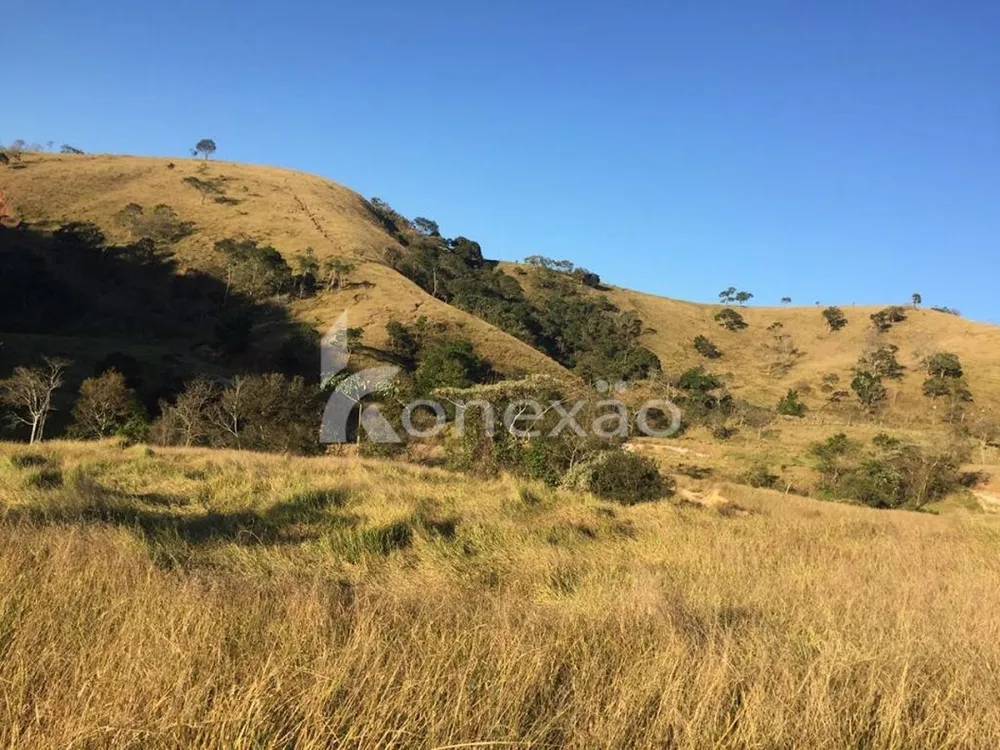 Fazenda, 154 hectares - Foto 11