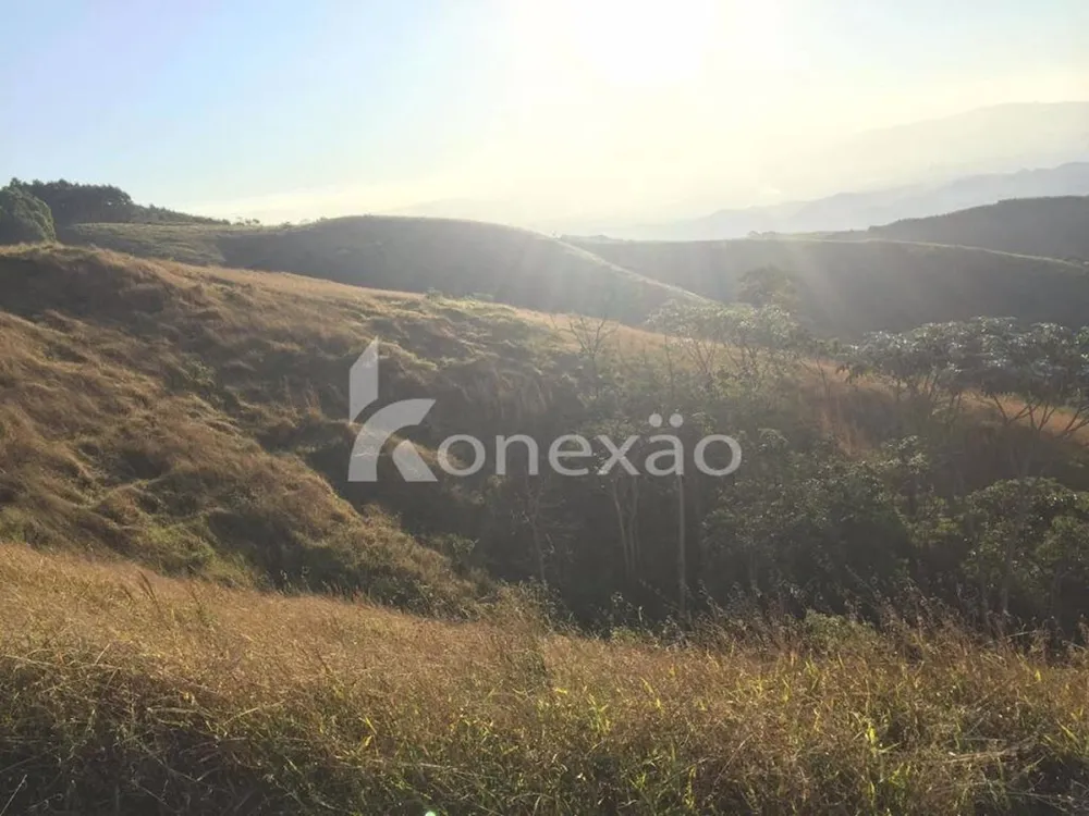 Fazenda, 154 hectares - Foto 15