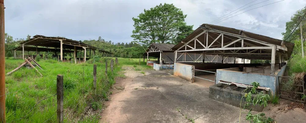 Sítio, 4 quartos, 33 m² - Foto 6