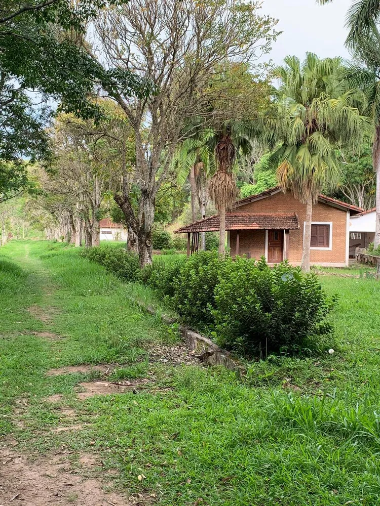 Sítio, 4 quartos, 33 m² - Foto 8
