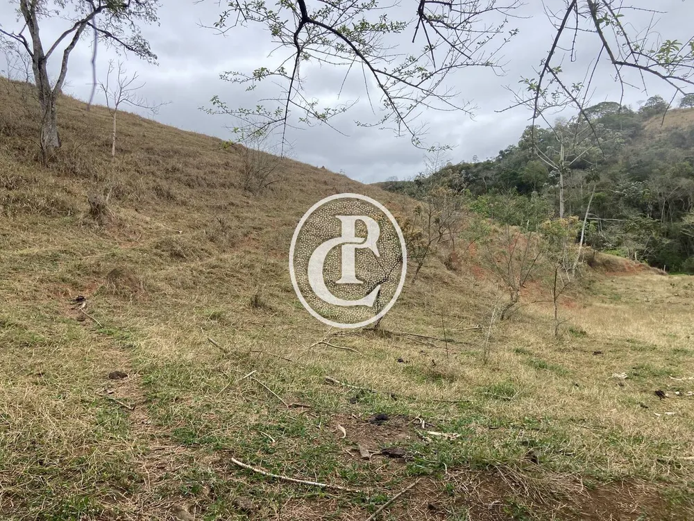 Chácara, 3 quartos, 3 hectares - Foto 6