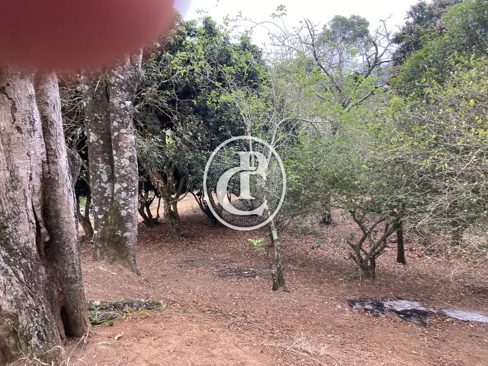 Chácara, 3 quartos, 3 hectares - Foto 4