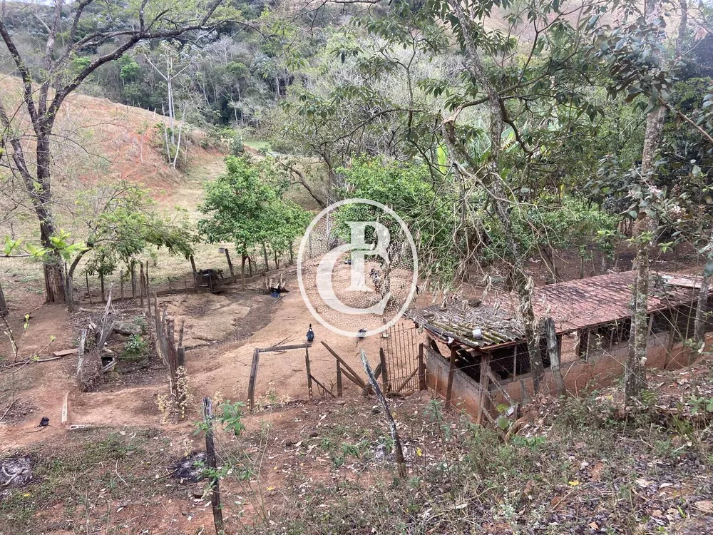 Chácara, 3 quartos, 3 hectares - Foto 10