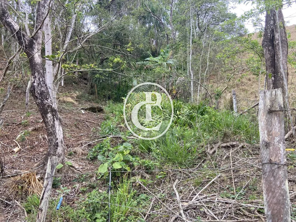 Chácara, 3 quartos, 3 hectares - Foto 9