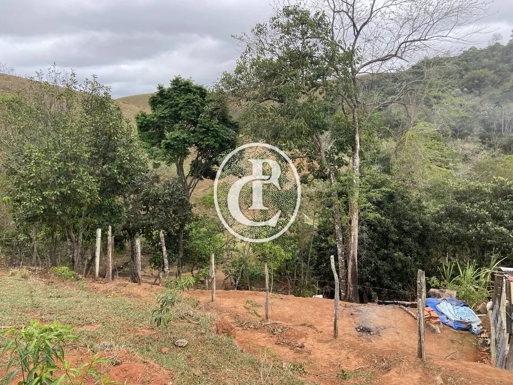 Chácara, 3 quartos, 3 hectares - Foto 8
