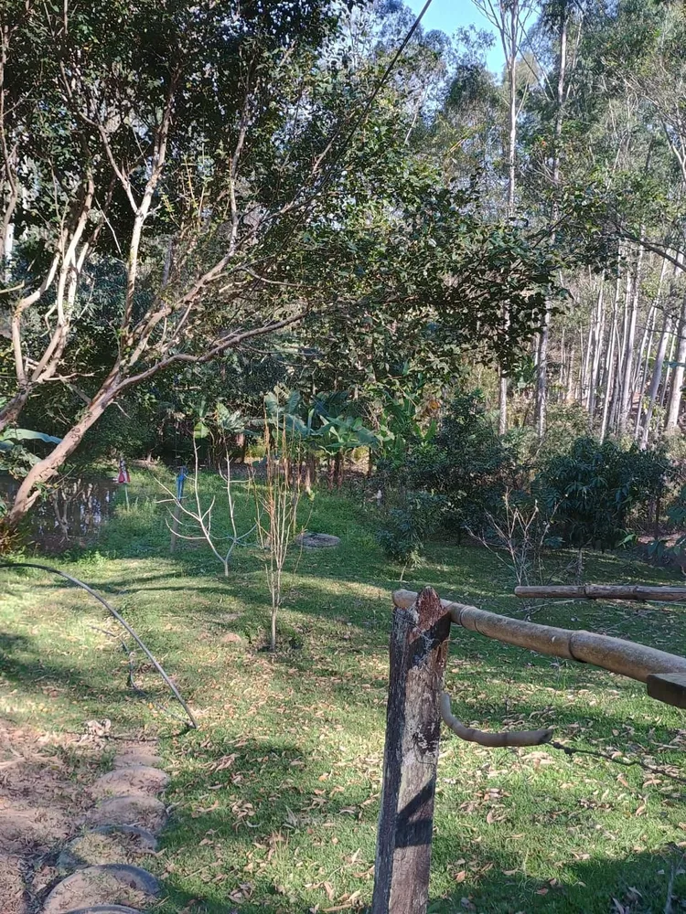 Chácara, 3 quartos, 300 m² - Foto 3