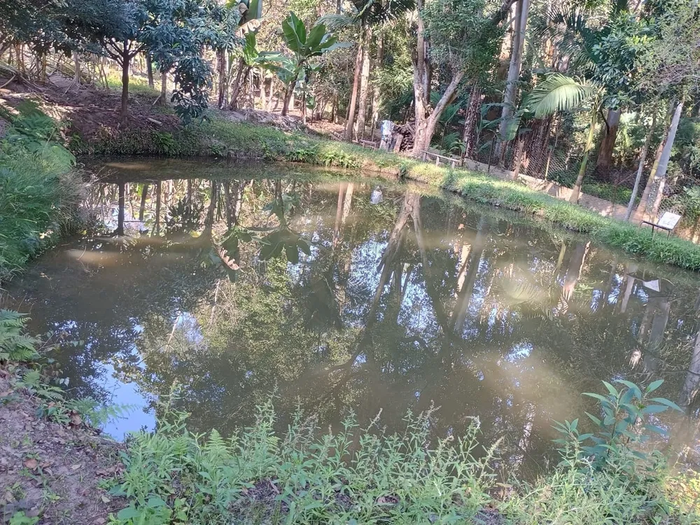 Chácara, 3 quartos, 300 m² - Foto 2