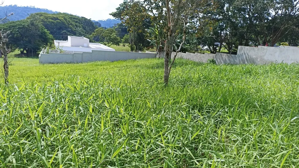 Terreno, 1000 m² - Foto 1