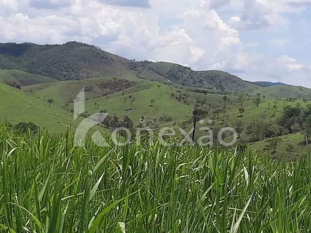 Fazenda, 250 m² - Foto 4